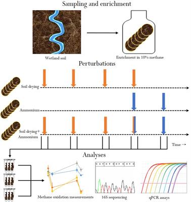 Resistance and Recovery of Methane-Oxidizing Communities Depends on Stress Regime and History; A Microcosm Study